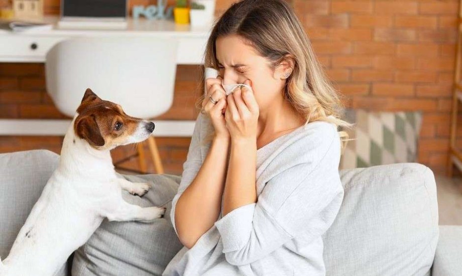 الحساسية من الحيوانات الأليفة