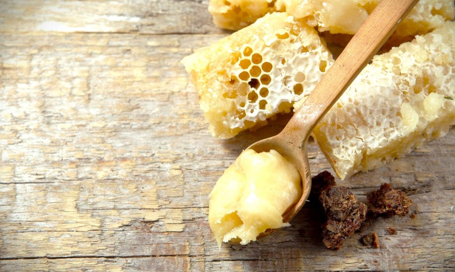 غذاء ملكات النحل