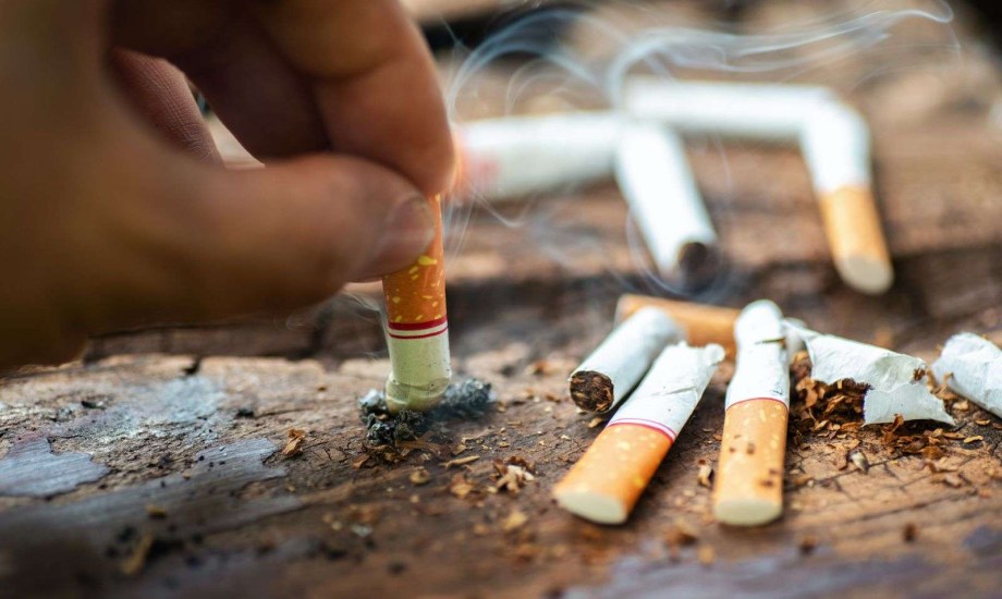 التدخين العدو الأول للصحة.. 5 نصائح تحميك من أمراض القلب والأوعية الدموية