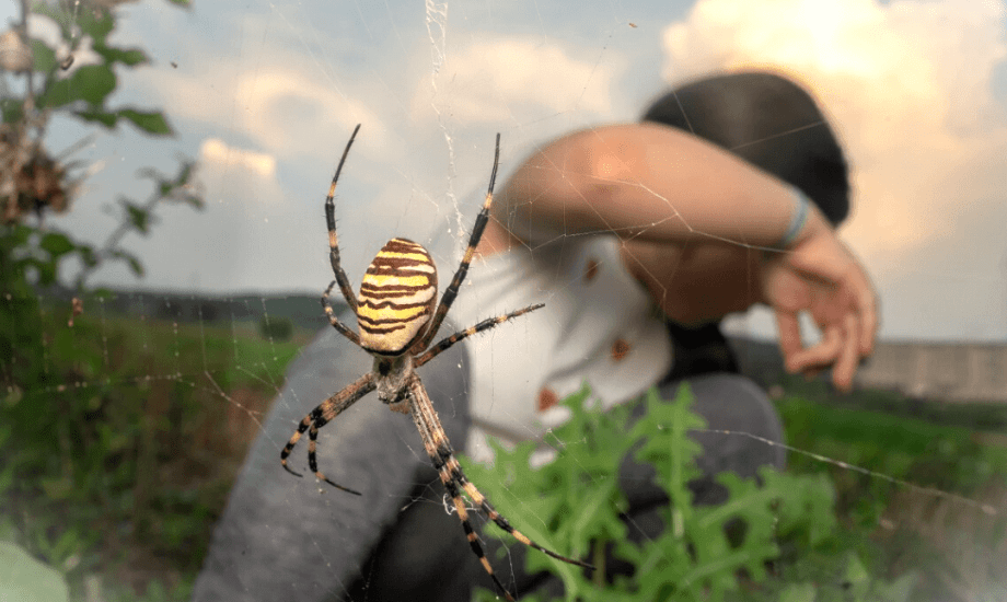 فتاة تعاني فوبيا الحشرات