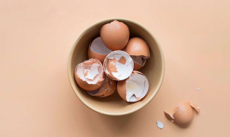قشور البيض مفيد لصحة الرجال الجنسية