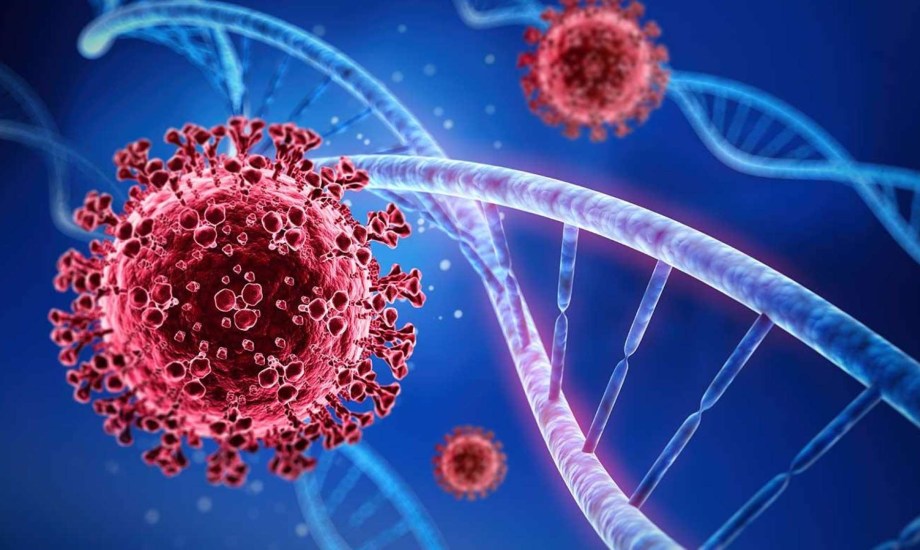 علاج فيروس غرب النيل وطرق الوقاية 