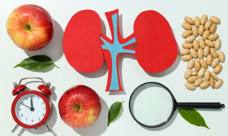 أطعمة تساعد في تحسين وظائف الكلى