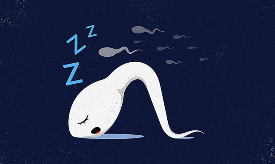 أسباب قلة عدد الحيوانات المنوية