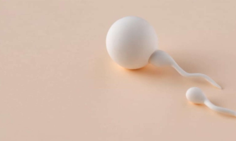 علاج قلة الحيوانات المنوية