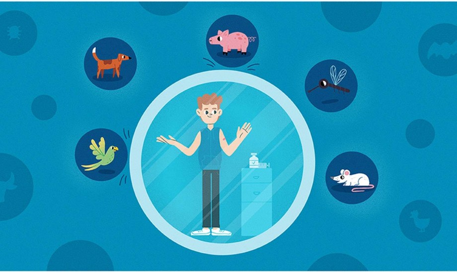 أمراض تنتقل من الحيوانات للإنسان