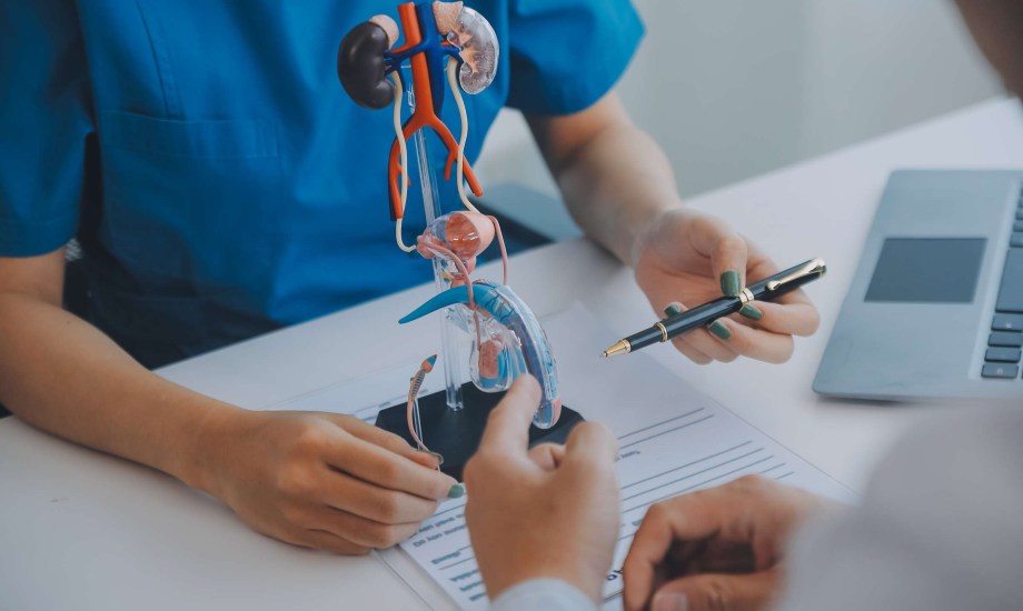 تضخم البروستاتا يؤثر في العلاقة الجنسية