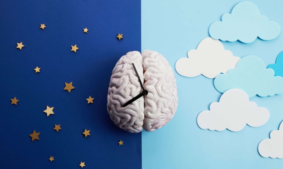 السهر يعزز الإدراك والإبداع