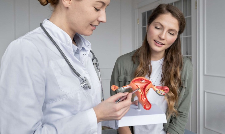 الفرق بين هبوط الرحم وهبوط المهبل