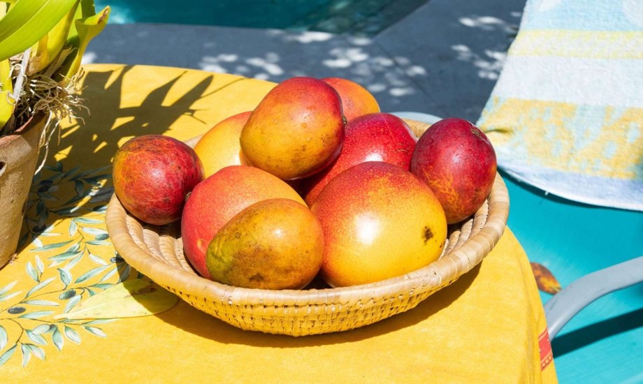 فوائد صحية لتناول المانجو