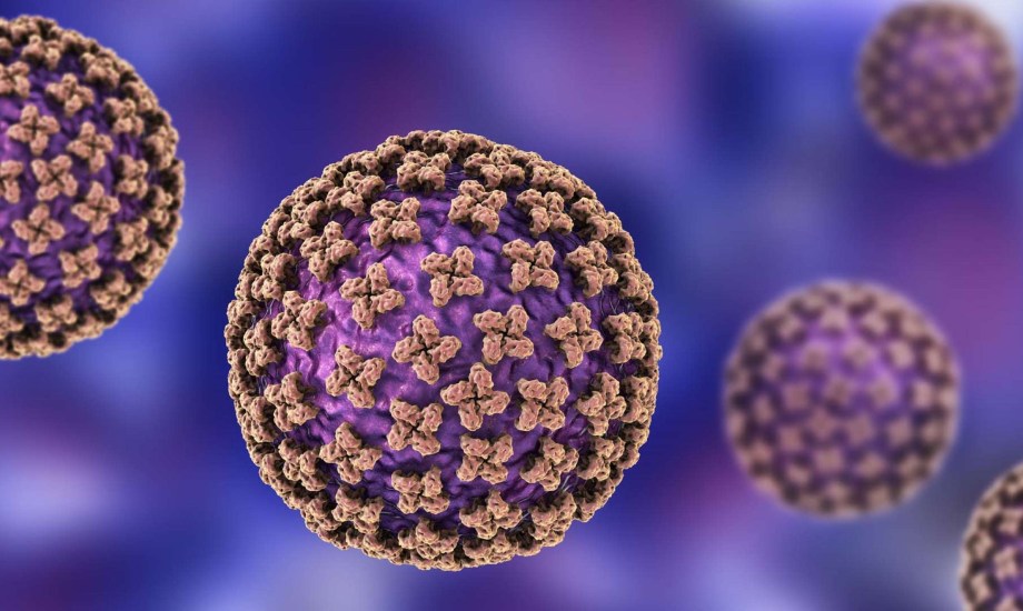 تخوفات من تفشي فيروس هانتا