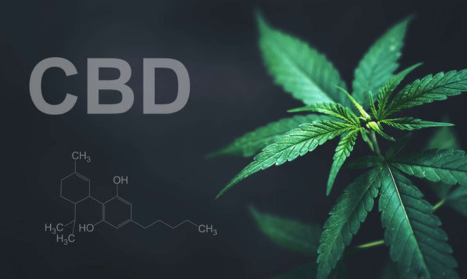 نبات القنب يحمي من الآثار الضارة للأشعة فوق البنفسيجية