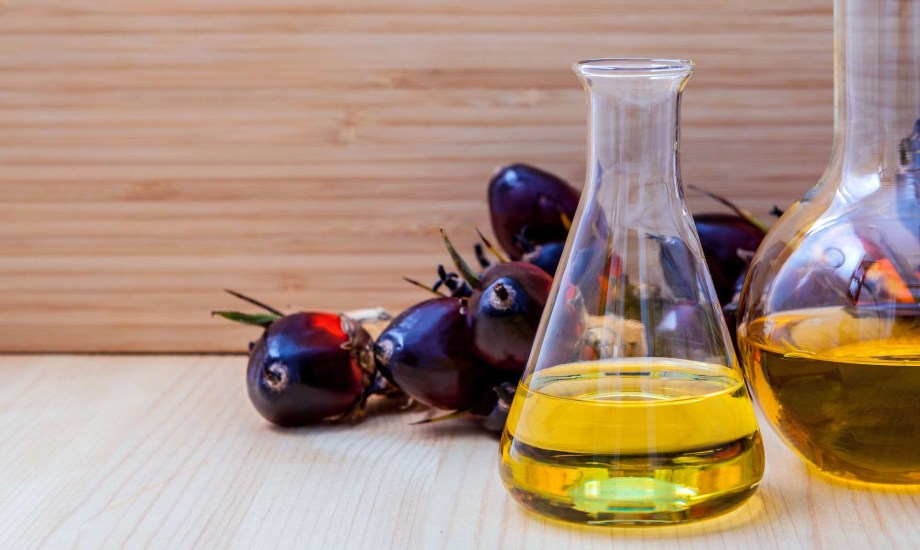 مخاطر زيت النخيل