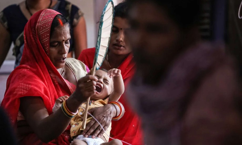 ما هو فيروس شانديبورا؟