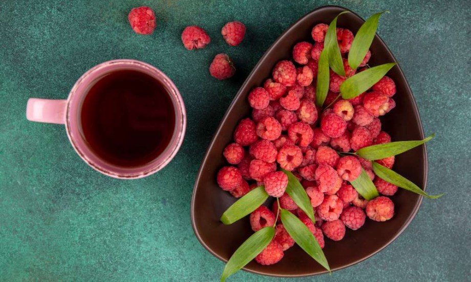 متى يمكن للحامل تناول شاي أوراق التوت الأحمر؟