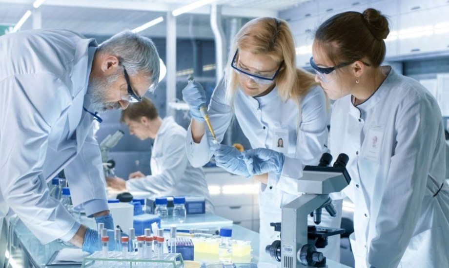 أبحاث علمية حول دور الطحالب البنية في علاج الشلل الرعاش 