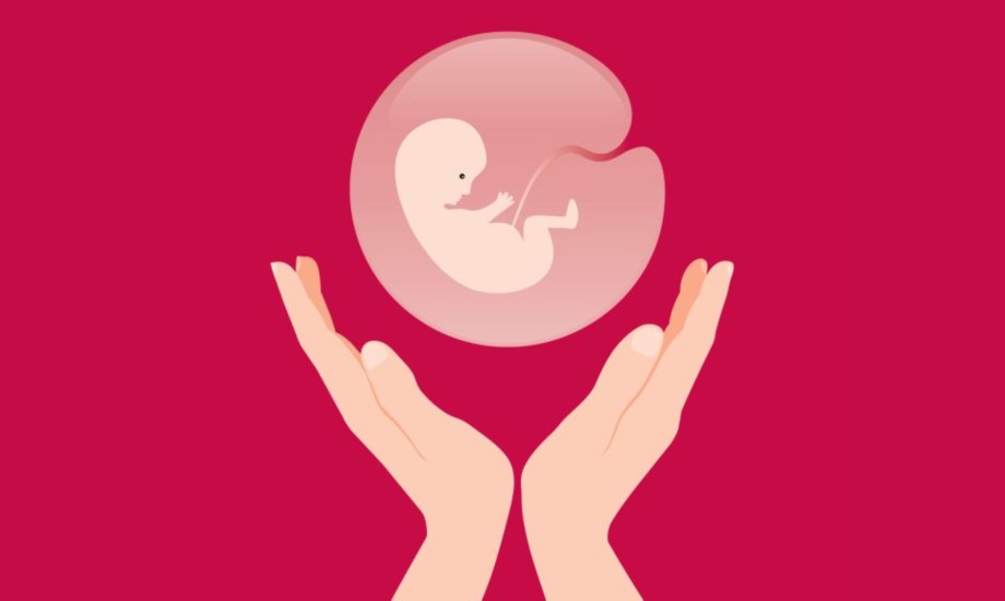 فوائد المشيمة الصحية