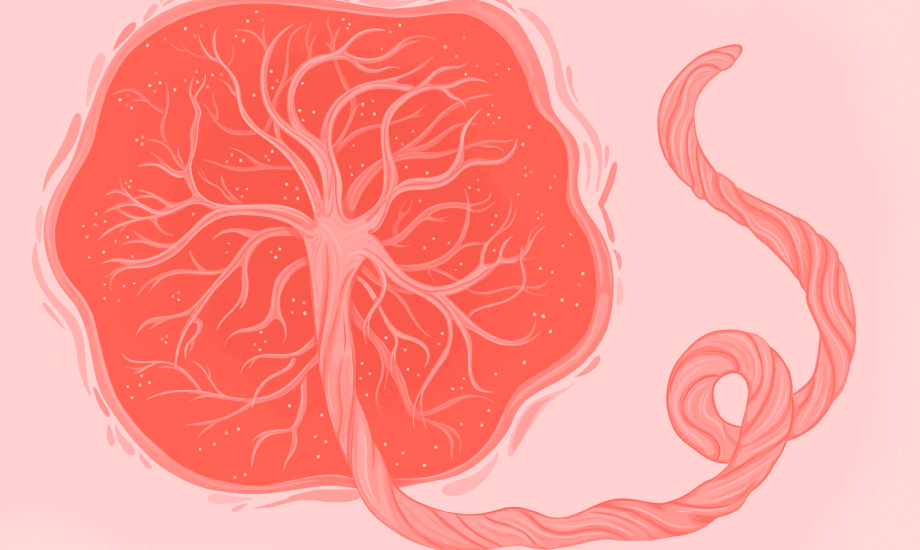 استخدامات أخرى للمشيمة 