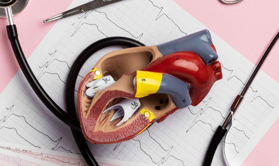 أعراض وطريقة علاج مرض صمامات القلب