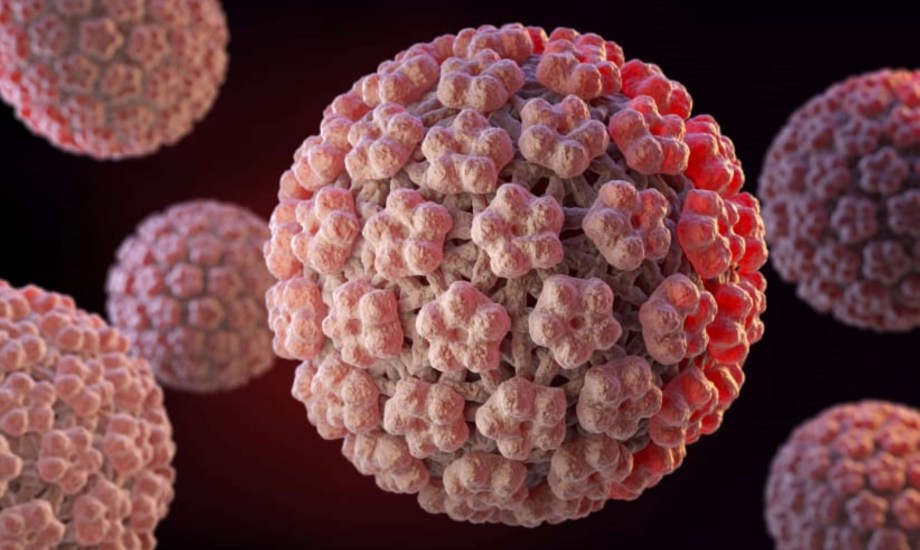 فيروس الورم الحليمي البشري لدى الرجال