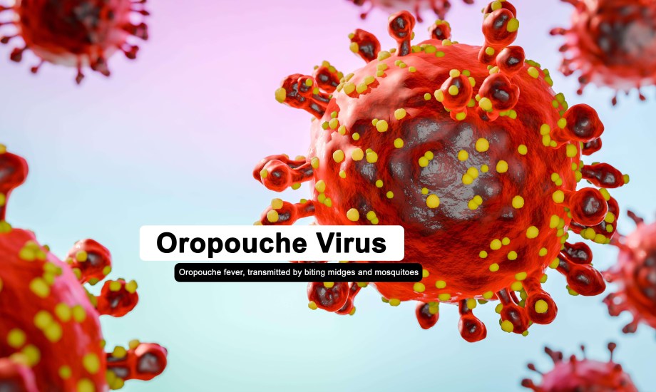 فيروس حمى الكسلان.. أسبابه وأعراضه وكيفية علاجه