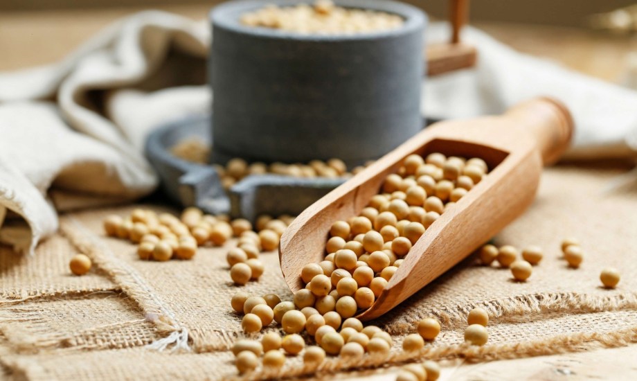 فوائد فول الصويا للرجال