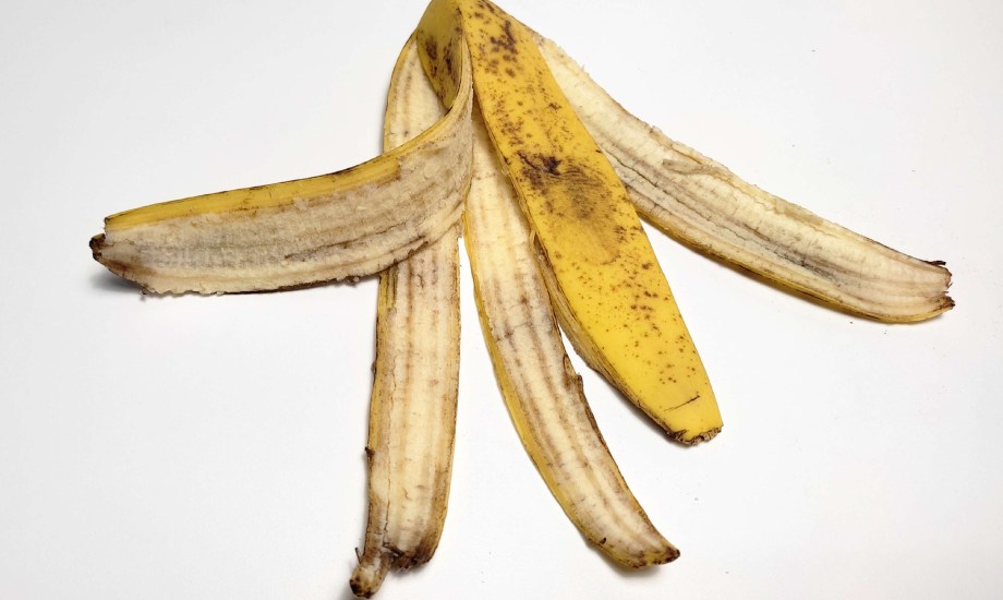 فوائد قشر الموز للبشرة.. 4 أسباب تجبرك على عدم إلقائه في القمامة