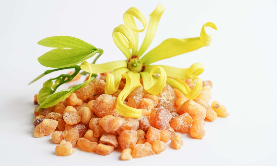 كم مرة يجب مضغ علكة المستكة؟