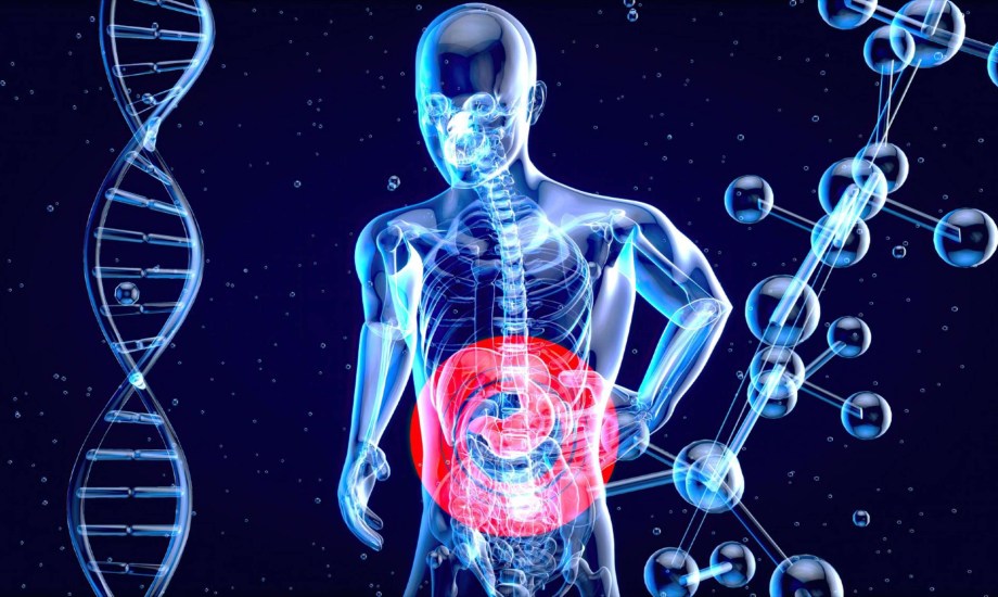 فوائد المستكة للجهاز الهضمي