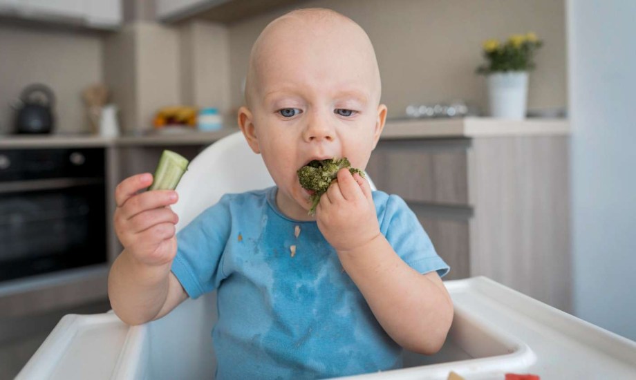 هل يمكن أن يتناول الأطفال اللحوم خلال الأشهر الـ6 الأولى؟