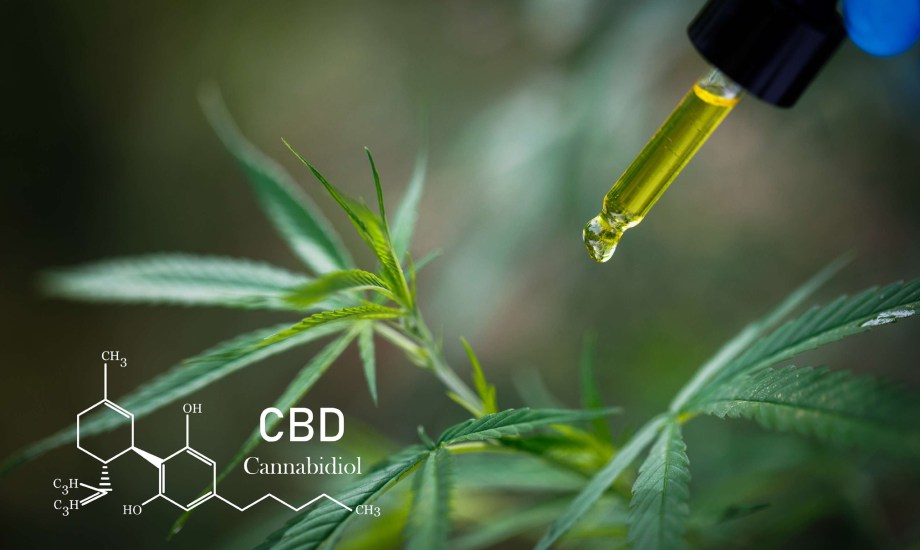 استخدامات زيت الماريجوانا