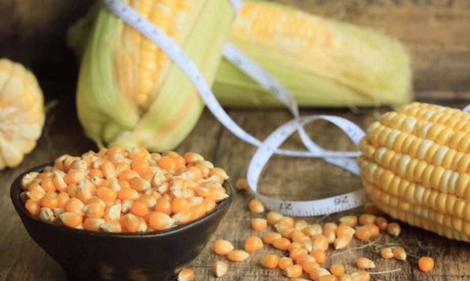 فوائد الذرة لفقدان الوزن