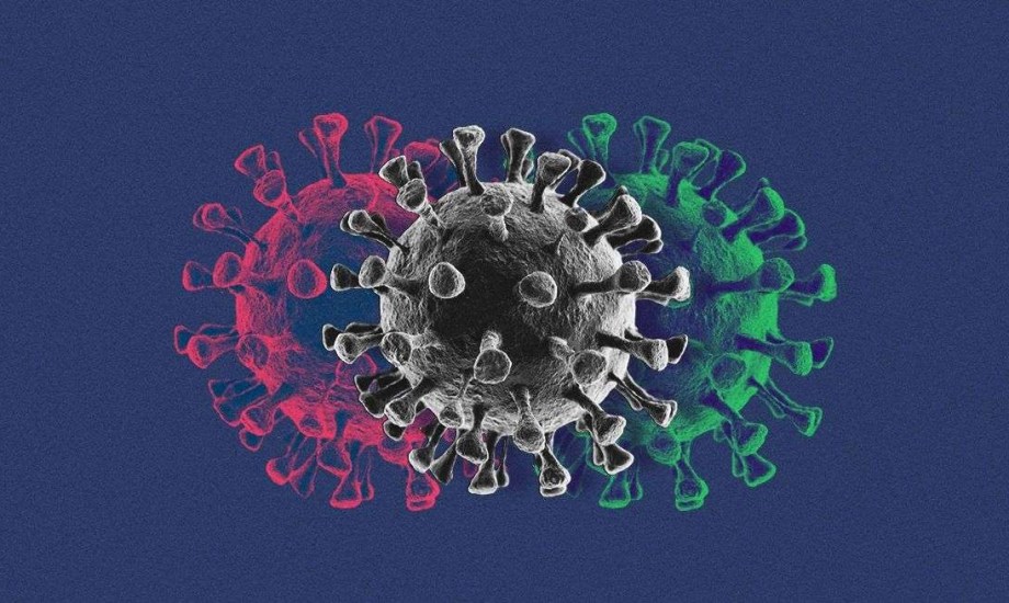 متحور كورونا XEC الجديد