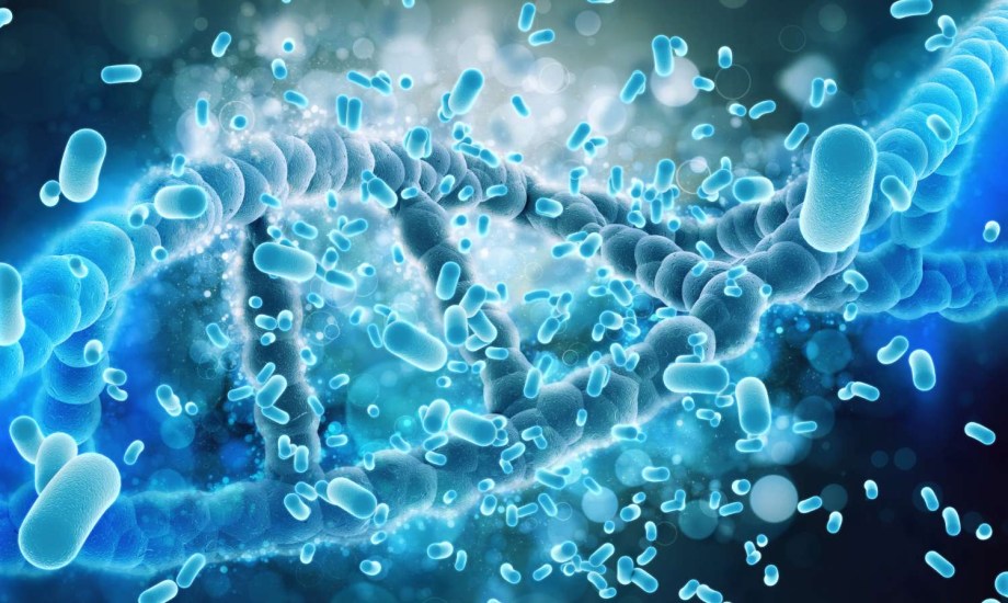 بكتيريا الإيكولاي.. الفئات الأكثر عرضة للإصابة و6 نصائح للوقاية