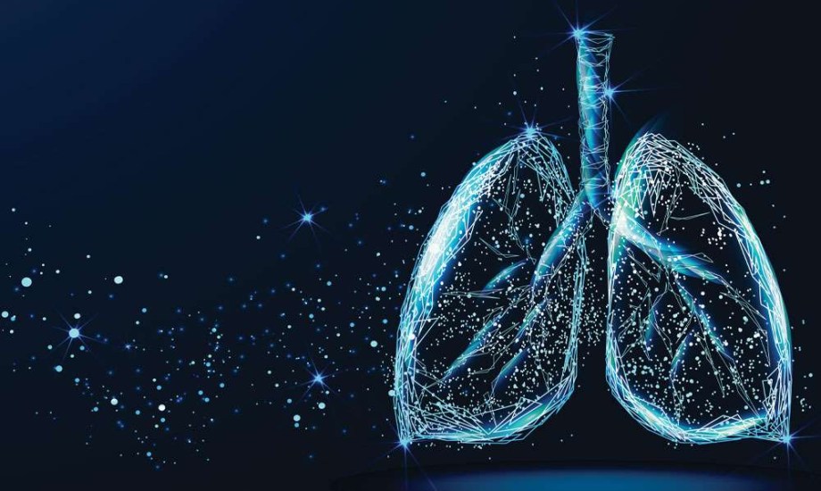 في اليوم العالمي للرئة يجب الحفاظ عليها