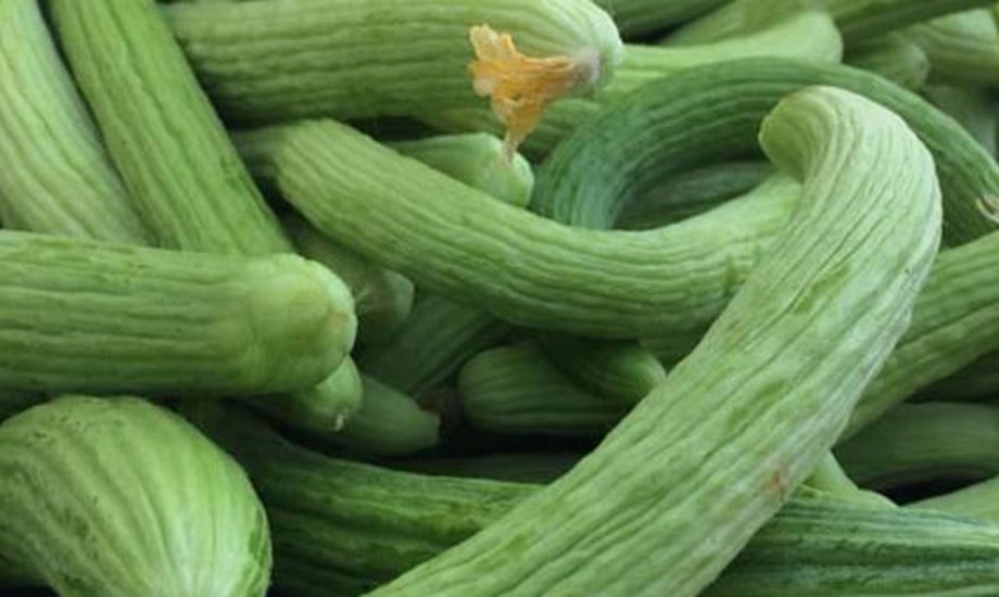 صحية وذات قيمة غذائية عالية.. 5 فوائد غير متوقعة لتناول القتة