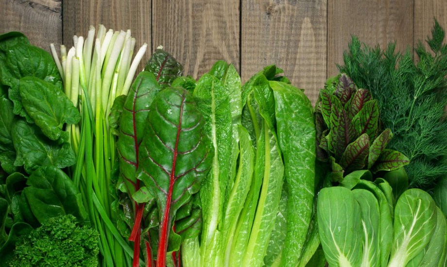 الطريقة الصحيحة لغسل الخس والخضراوات الورقية