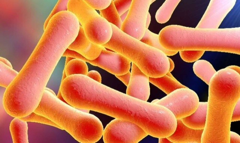 عدوى الدفتيريا تنتشر في الجزائر