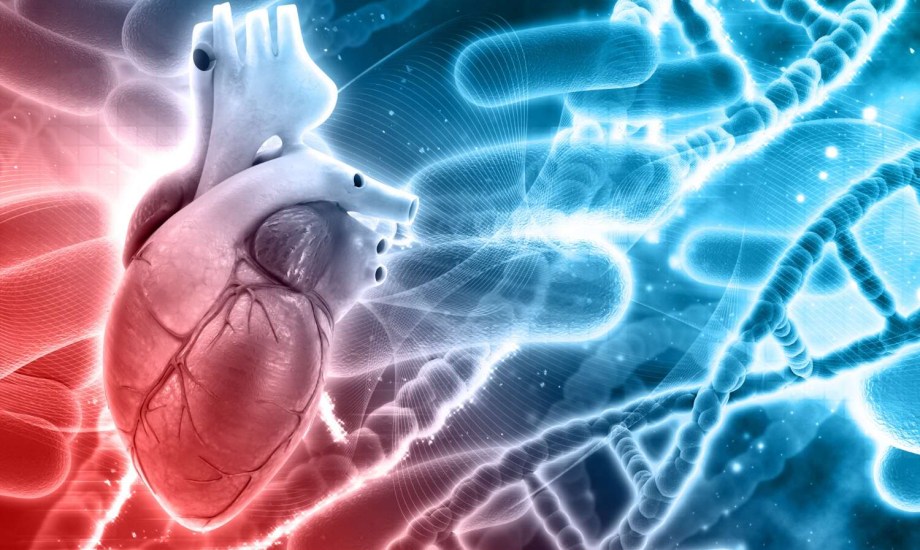 التعرض للمعادن البيئية يزيد خطر تصلب الشرايين