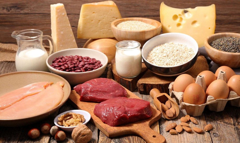 دور البروتين النباتي والحيواني في بناء العضلات