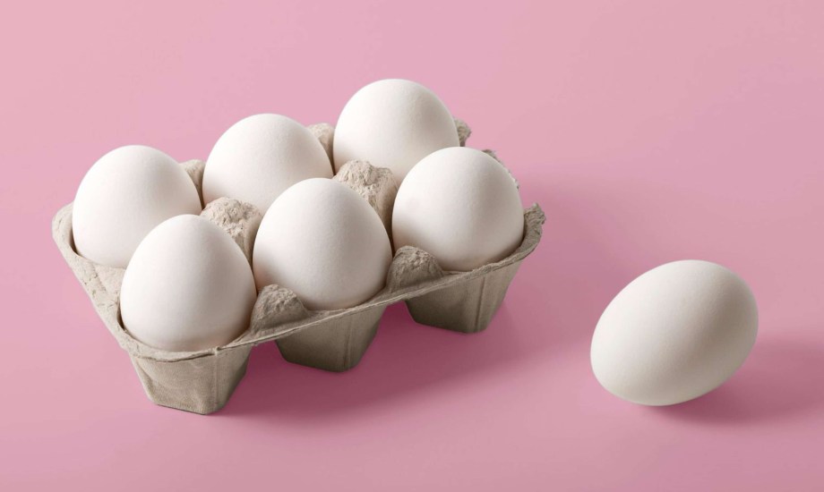 البيض يحسن الأداء المعرفي وينشط الذاكرة