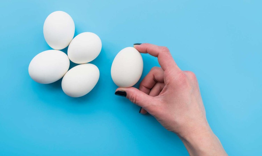 فوائد البيض للشعر