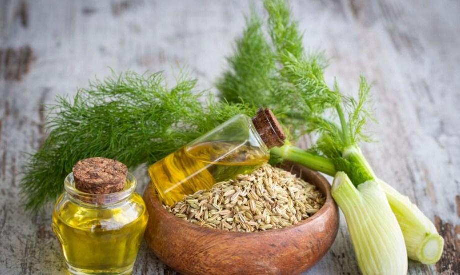 فوائد زيت الشمر للشعر