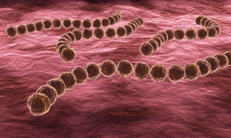 أسباب الميكروب السبحي.. أنواعه والفئات الأكثر عرضة