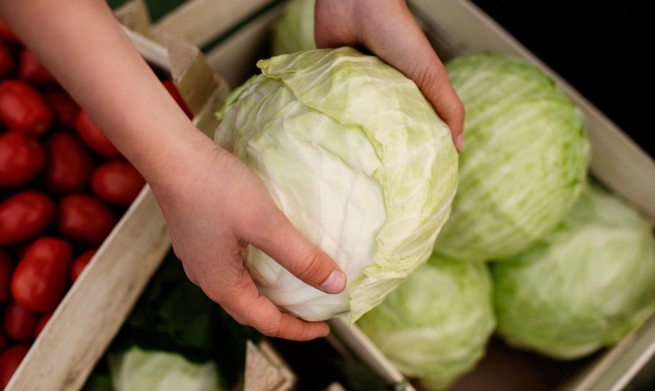 فوائد الملفوف للحامل