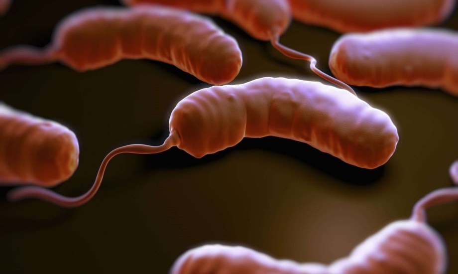 البكتيريا آكلة اللحوم.. الأعراض والمضاعفات وطرق العلاج 