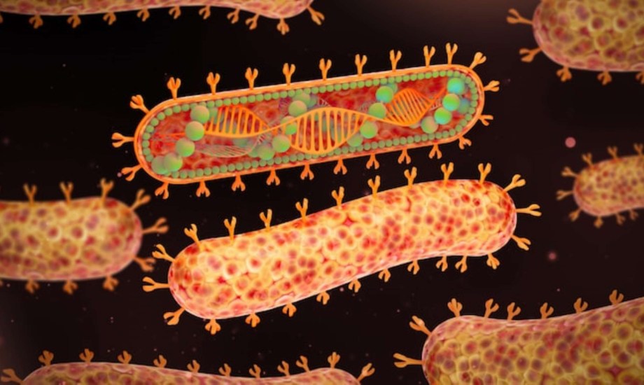 مضاعفات فيروس ماربورغ