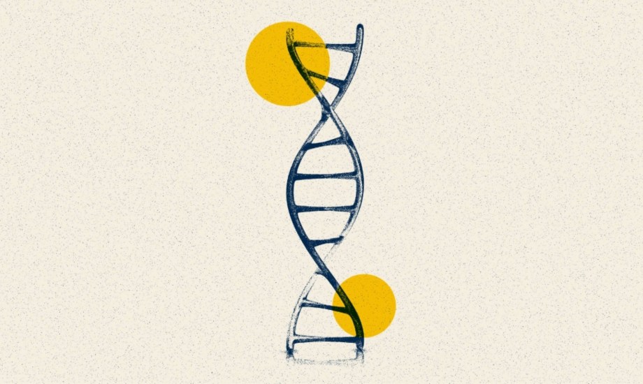 جينات النحافة وتأثيرها على الوزن