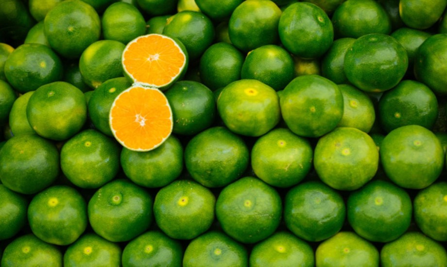 الفوائد الصحية للبرتقال الأخضر