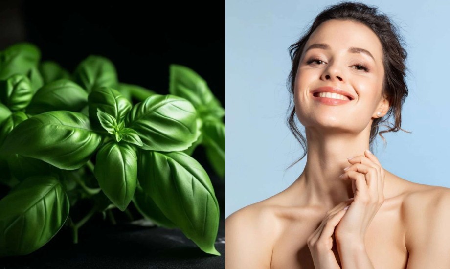 فوائد الريحان لصحة الشعر